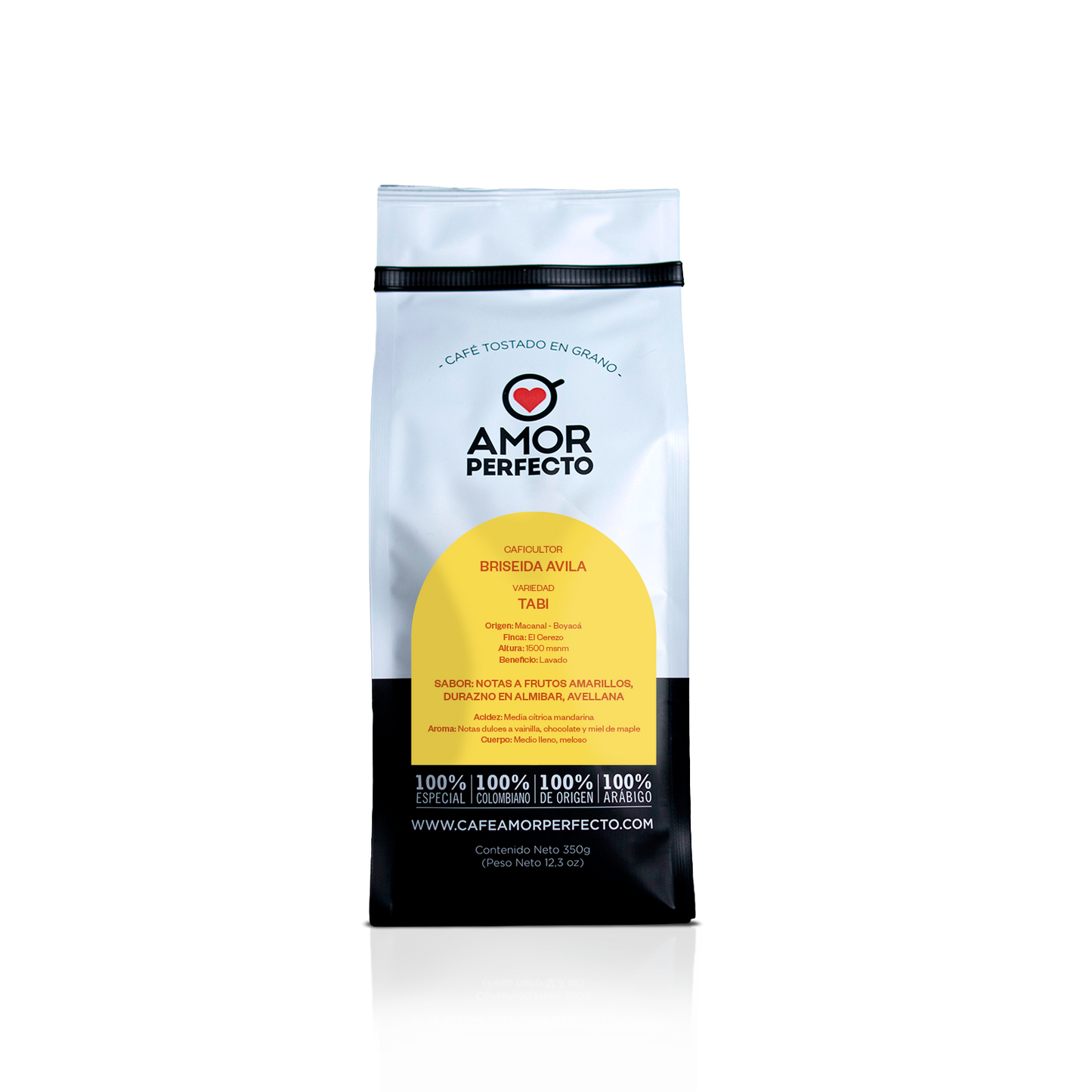 Briseida Avila 350 GR